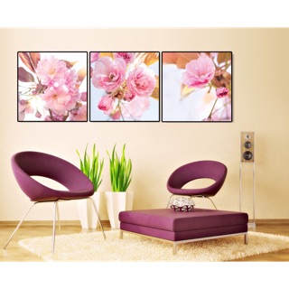 Tranh canvas mùa xuân sang có hoa anh đào - 50 x 50 x 3 (khung viền)
