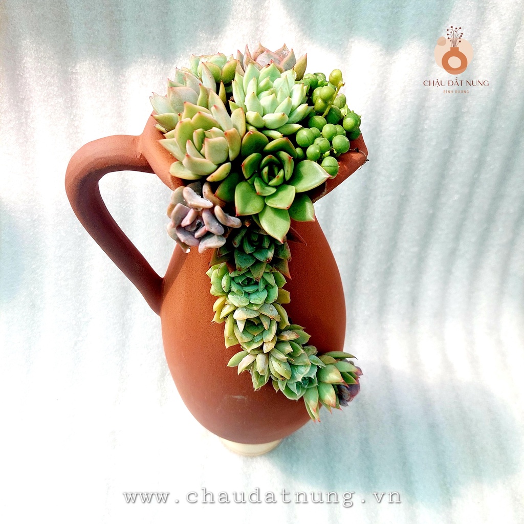 Chậu đất nung, Chậu sen đá - Bình sữa cắt vân mây, miệng chậu 10cm, chiều cao 29cm