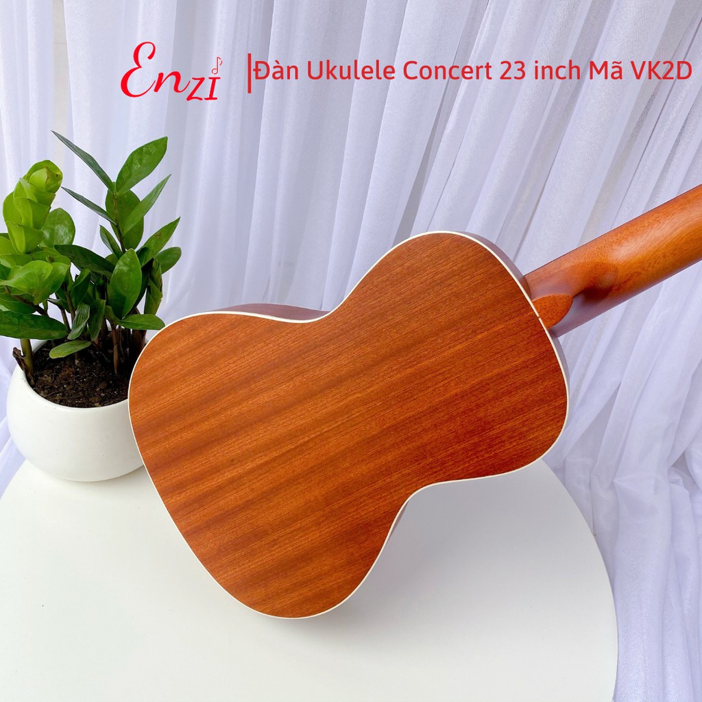 Đàn ukulele concert VK2D Enzi 23 inch gỗ mộc trơn khóa đúc cho bạn mới bắt đầu tập chơi