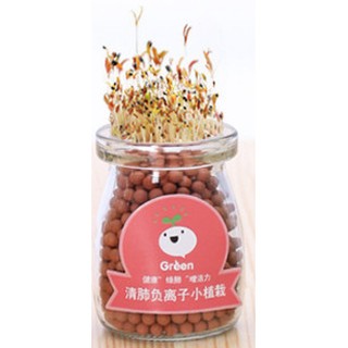 CHẬU CÂY THỦY TINH MINI CACBON TRÒN KÈM HẠT GIỐNG CỎ TÌNH YÊU