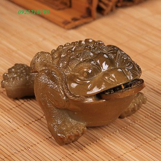 Cóc ngậm tiền thú cưng bàn trà