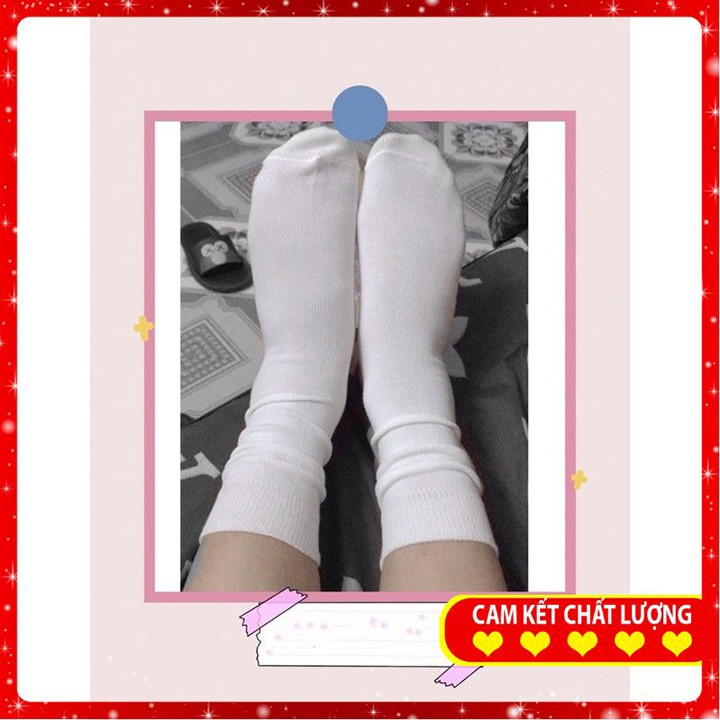 Áo Phông nữ ⭐[FREESHIP]⭐ Áo Thun Đính nơ khuy cài, chất liệu cotton thấm hút mồ hôi-cực đẹp-mẫu hottrend Mã TT09