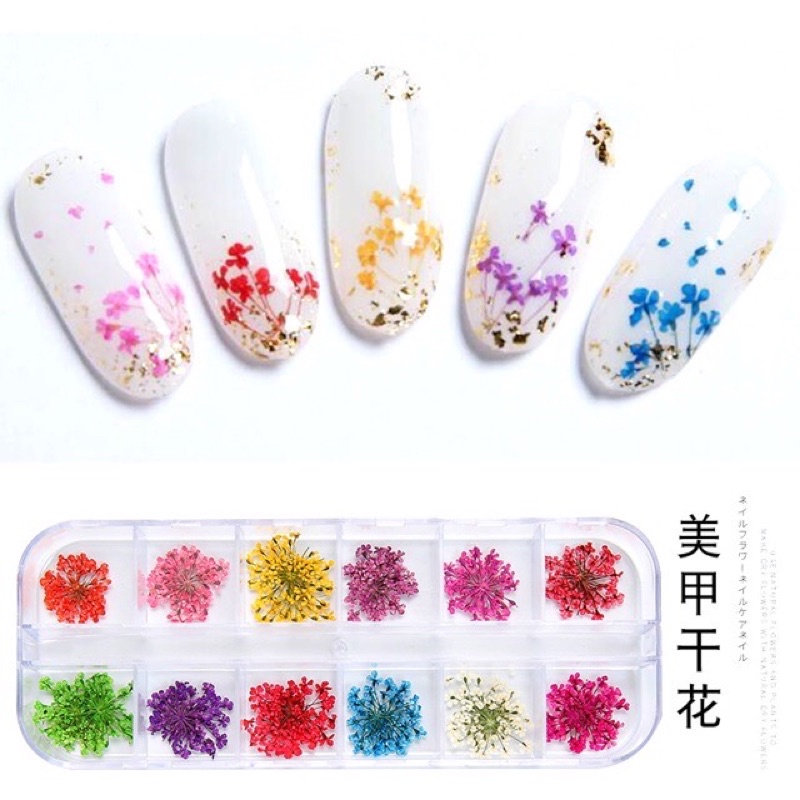 Hoa khô chùm đắp gel ẩn móng - Set hoa khô nail trang trí móng