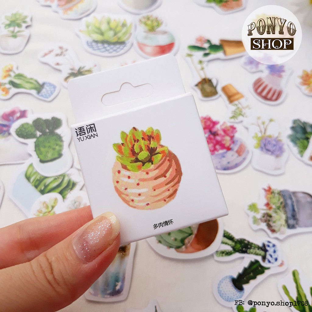 🌵 Hộp 50 sticker nhãn dán Chậu sen đá trang trí Scrapbook