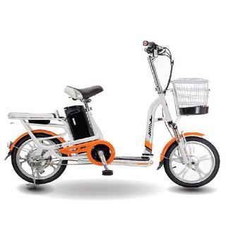 Sạc pin xe đạp điện Aima ED112 48V-12A