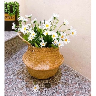 giỏ cói 23cm để cây, cắm hoa