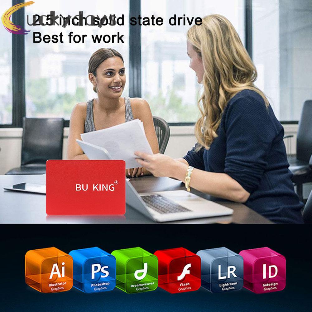 LUCKYDAYS BU KING 2.5 inch SATA III Internal Solid State Drive Robot Head Pattern Red | BigBuy360 - bigbuy360.vn