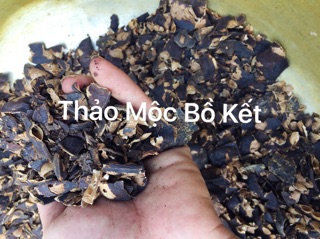 Túi Lọc Bồ Kết Mộc Đan