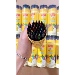 BÚT CHÌ MÀU PESING 36 CÂY