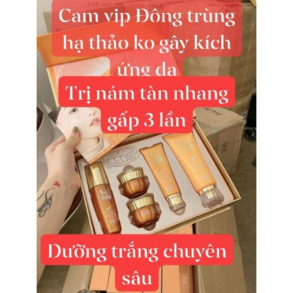 HOÀNG CUNG CAM VIP [ MẪU MỚI ]