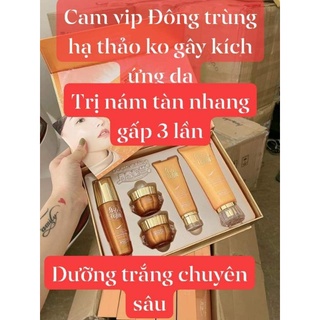 HOÀNG CUNG CAM [ MẪU MỚI ]