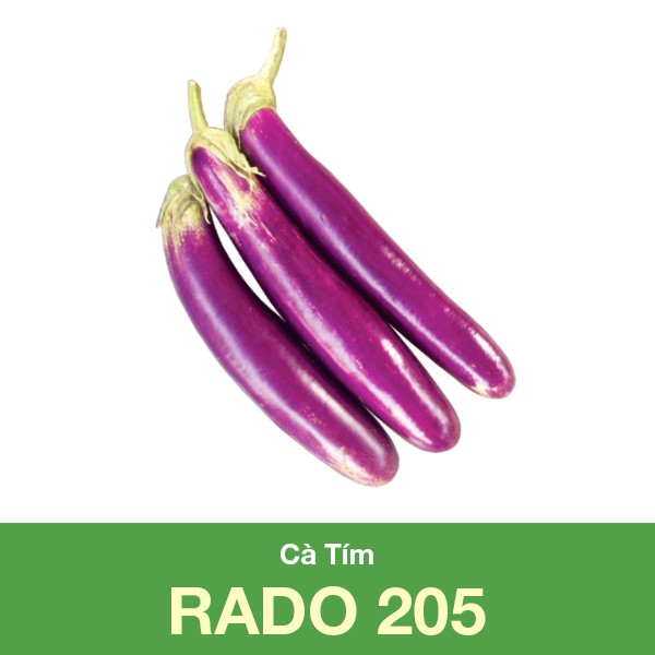 Hạt giống Cà Tím RADO 205 (0.5gr)