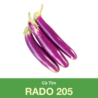 Hạt giống cà tím rado 205