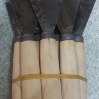 Cây sủi sơn 4cm-7cm x 2 cây