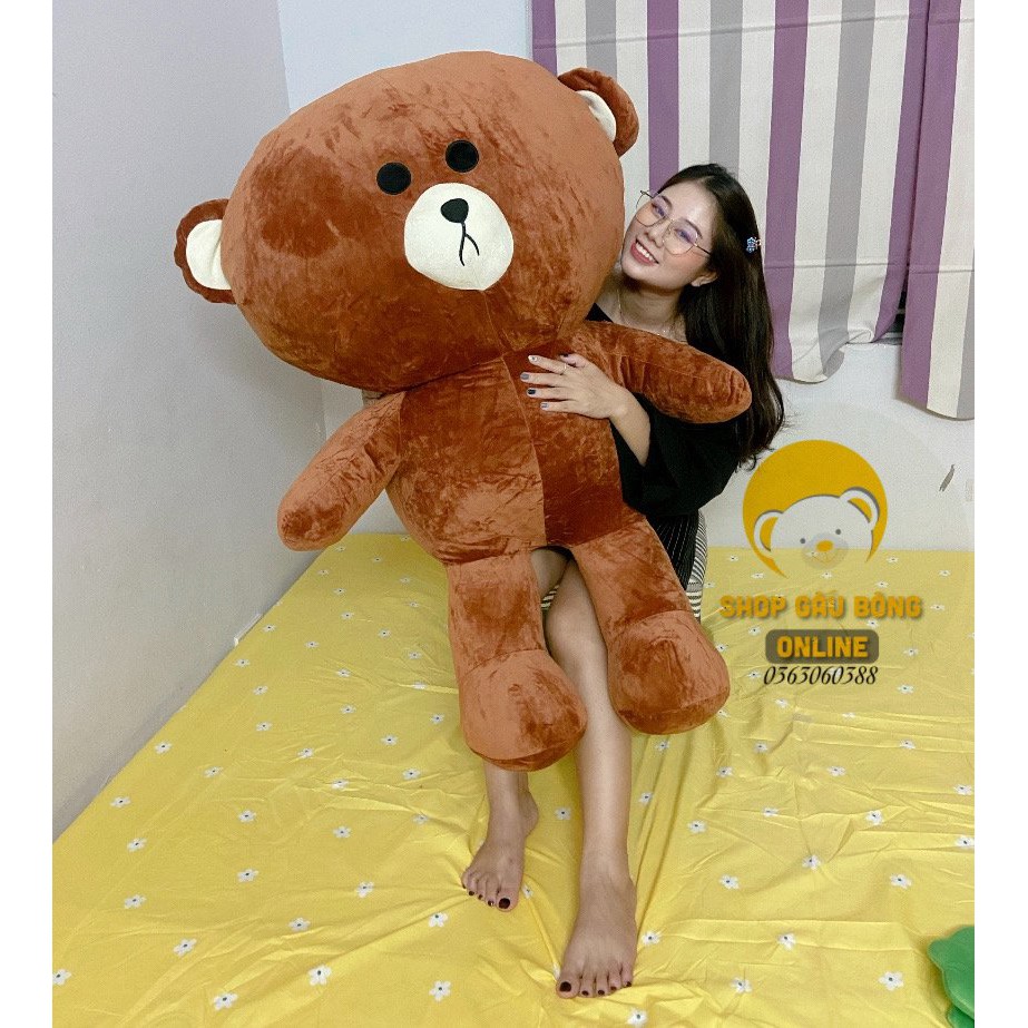 Gấu brown siêu hót khổ 50cm, 80cm, 1m, 1m3, 1m5