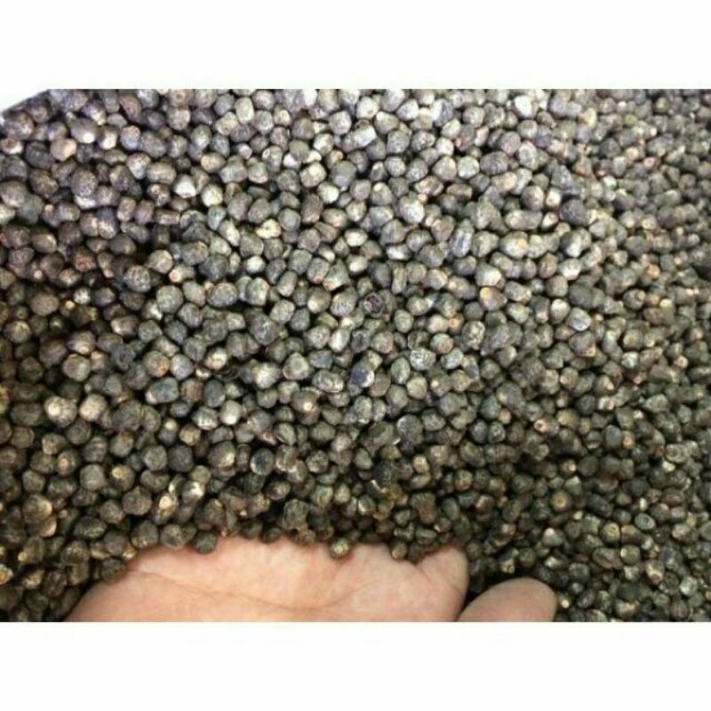 Hạt chuối hột rừng khô sạch 1KG chuẩn rừng