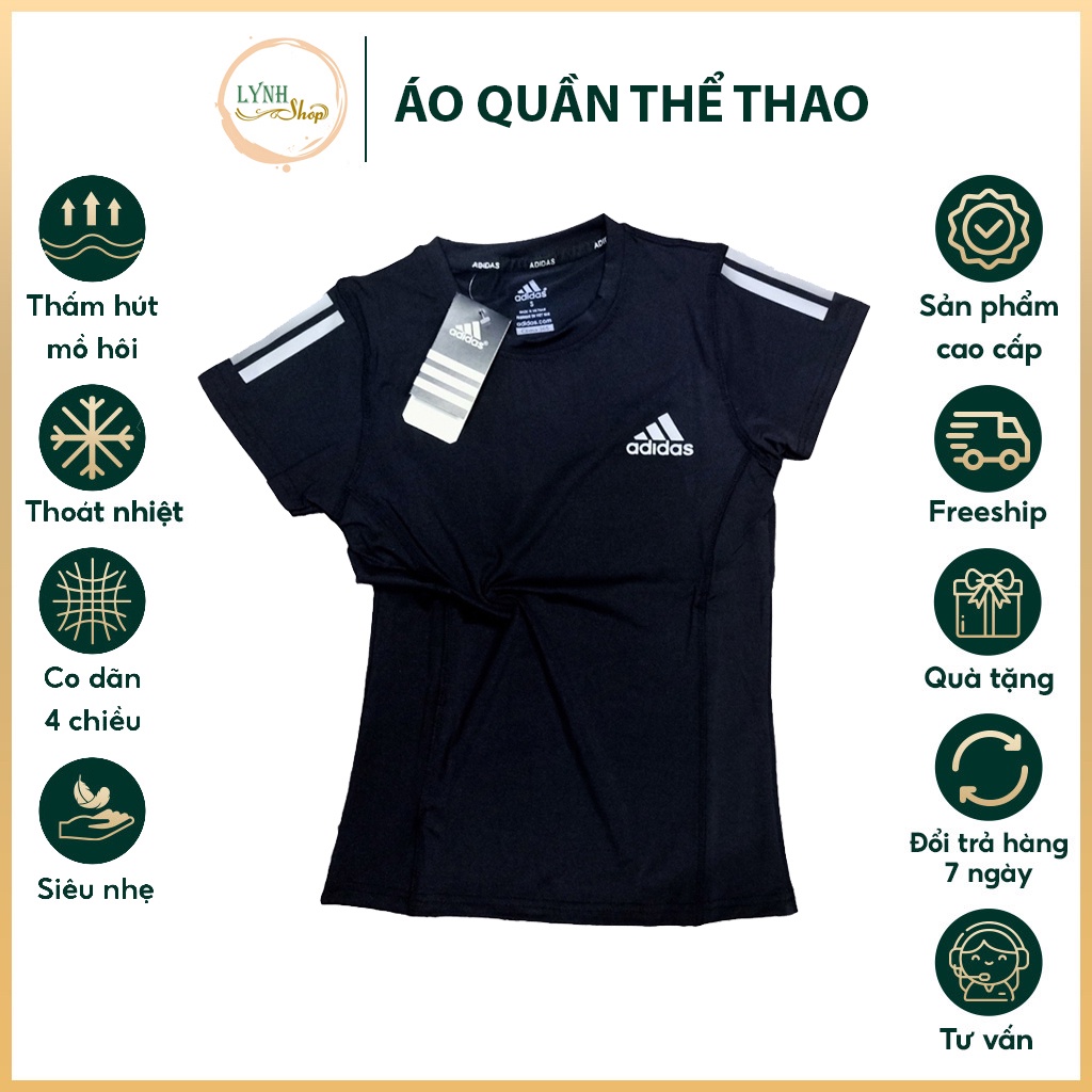 Áo thể thao nữ, áo thun nữ vải Trơn thun lạnh cao cấp, mềm mịn, nhiều màu hợp thời trang, size M L XL 2XL