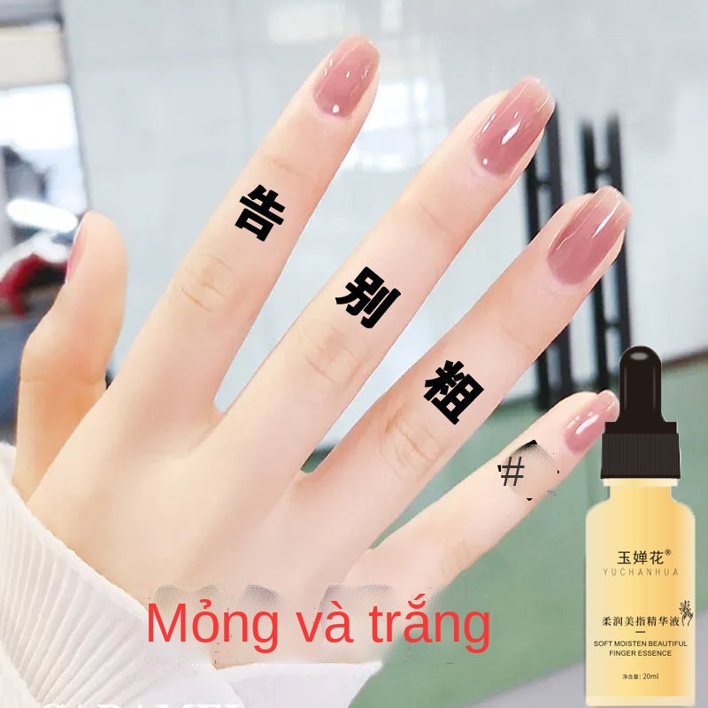 ✻Tay đẹp tay mỏng tinh chất tạo tác ngón tay gầy thon dài tinh dầu ngón tay mỏng làm trắng tay mỏng tinh dầu massage tay