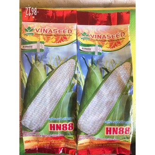 Combo 10 gói hạt giống cà chua tokita + 2kg ngô hn88