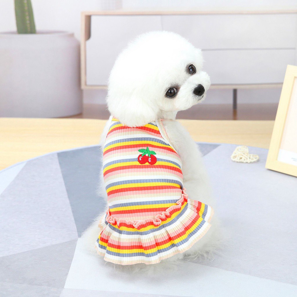 Đầm công chúa không tay bằng cotton họa tiết cầu vồng cherry phối ren dành cho thú cưng nhỏ vừa dễ thương