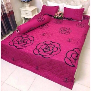 Bộ chăn hè ga gối poly