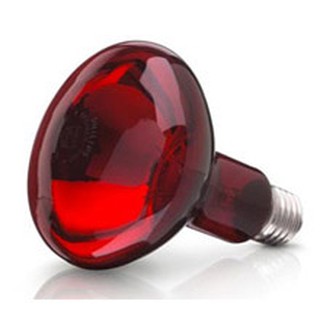 BÓNG ĐÈN HỒNG NGOẠI 150W SƯỞI ẤM THÚ Y CAO CẤP