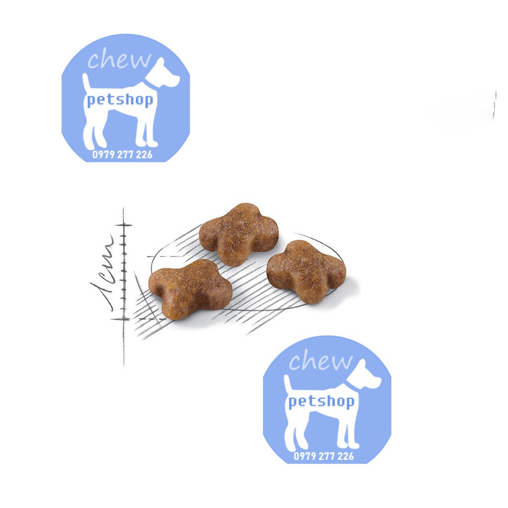 Royal Canin Kitten 36 2KG - Thức ăn khô dành cho mèo con từ 4-12 month-Phụ kiện chó mèo Chew petshop