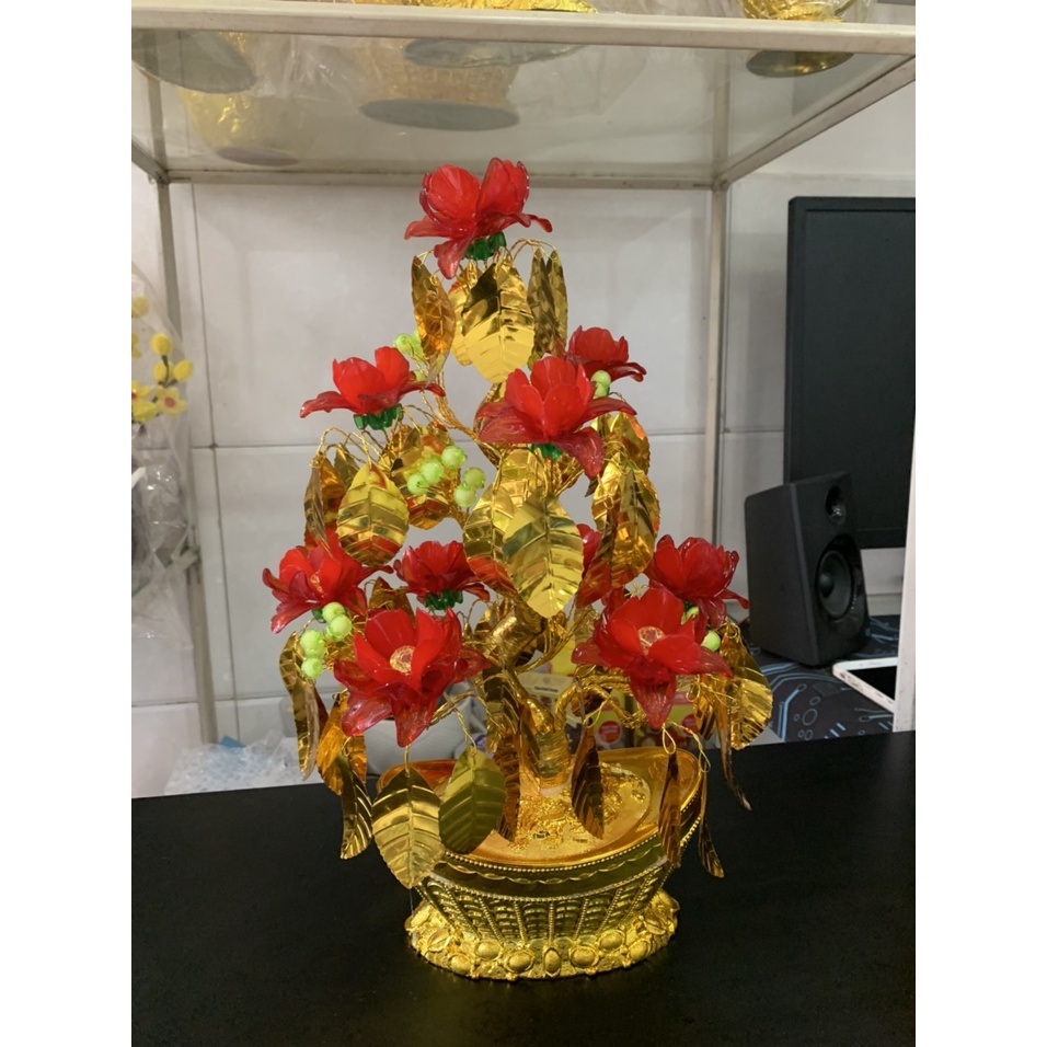 Lá Ngọc Cành Vàng cao 35cm