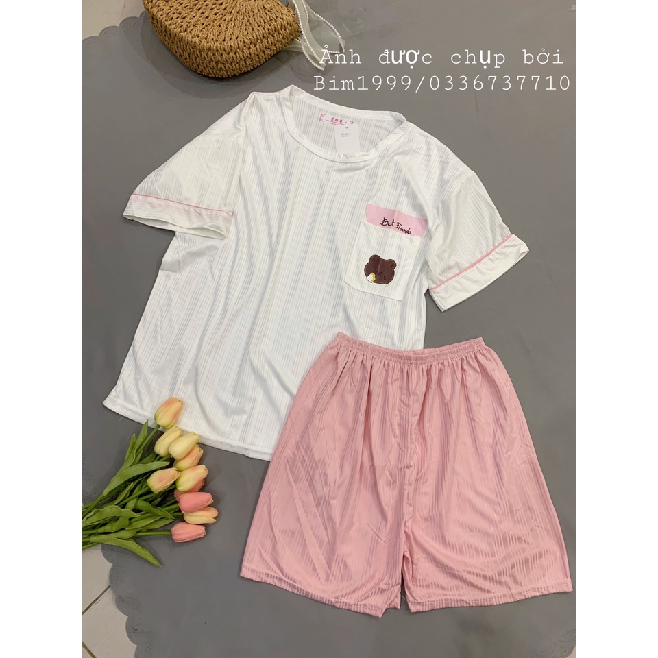 (Mẫu In) Bộ Mặc Nhà Bộ Đồ Cotton Gân Trẻ Trung Siêu Hót 2022 Túi Gấu Mẫu In