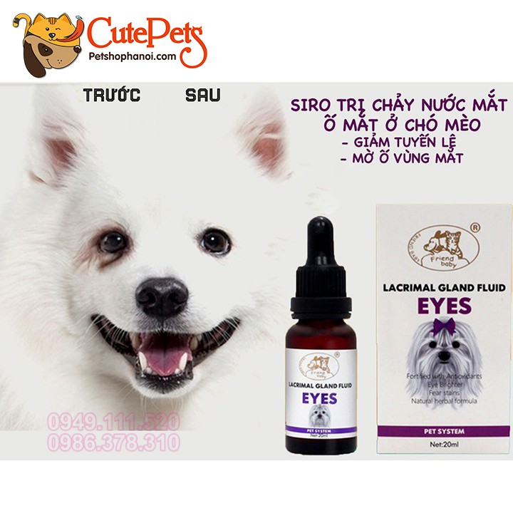 Siro Uống Chống Chảy Nước Mắt Cho Chó Mèo Lacrimal Gland Fluid Eyes 20ml - CutePets