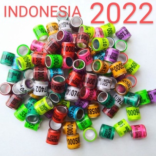 Image of RING MERPATI IMPORT INDONESIA 2022
