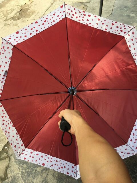 Ô dù màu sắc cán dài