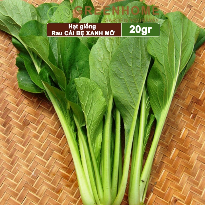 Hạt giống rau Cải bẹ xanh mỡ Greenhome, gói 20g, dễ trồng, thu hoạch nhanh R04