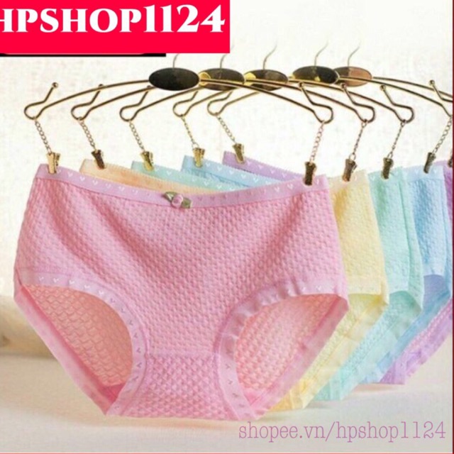 Quần lót cotton thông hơi thoáng khí - quần lót nữ sợi bông mềm êm nhẹ 805