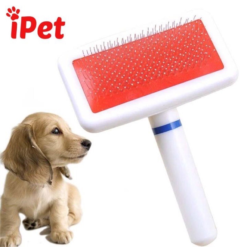 LƯỢC HỒNG CHẢI LÔNG CHO THÚ CƯNG