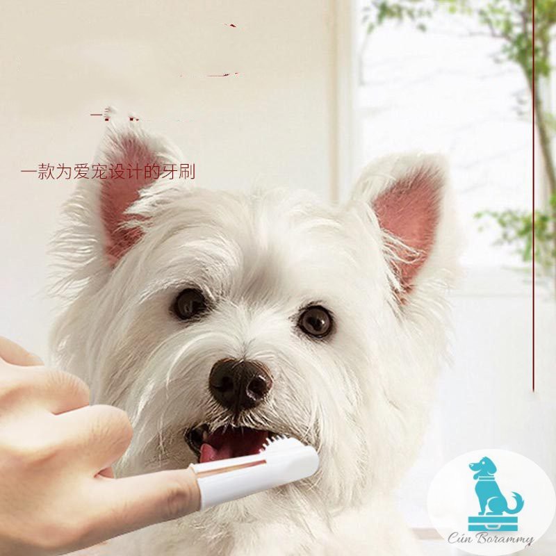 Combo kem đánh răng + bàn chải đánh răng cho thú cưng