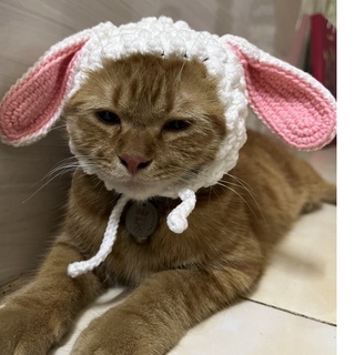Nón bé cừu bịt tai cho thú cưng