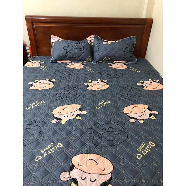 (XẢ KHO) ️ Bộ 3 món: ga gối chun trần bông và 2 vỏ gối đầu Dày Dặn - Drap Giường Cam Kết Bọc Đệm Không Xô Mẫu Kẻ râu