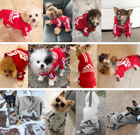 Áo Sweater Thời Trang Xuân Thu Dành Cho Thú Cưng