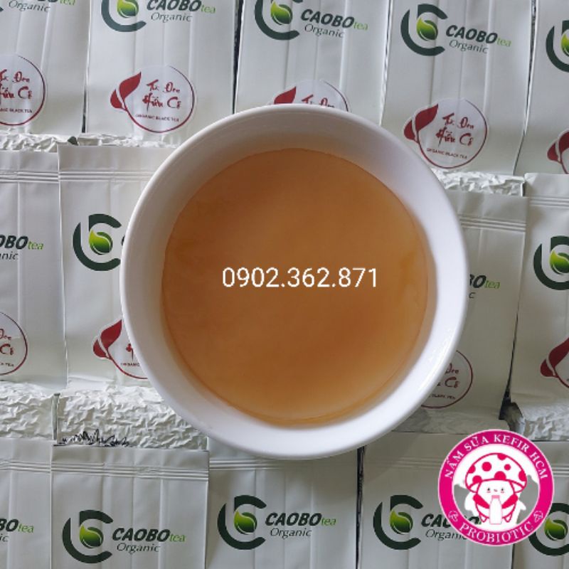 Con giống kombucha/scoby: 1 Scoby +150ml nước mồi+ kẹp gắp, khăn đậy, trà và đường nuôi