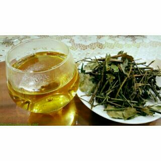 Chè vằng sẻ lợi sữa 1kg