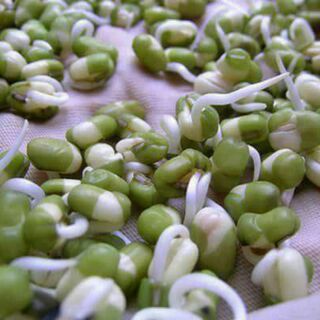 Bột mầm đậu xanh tăng cân
