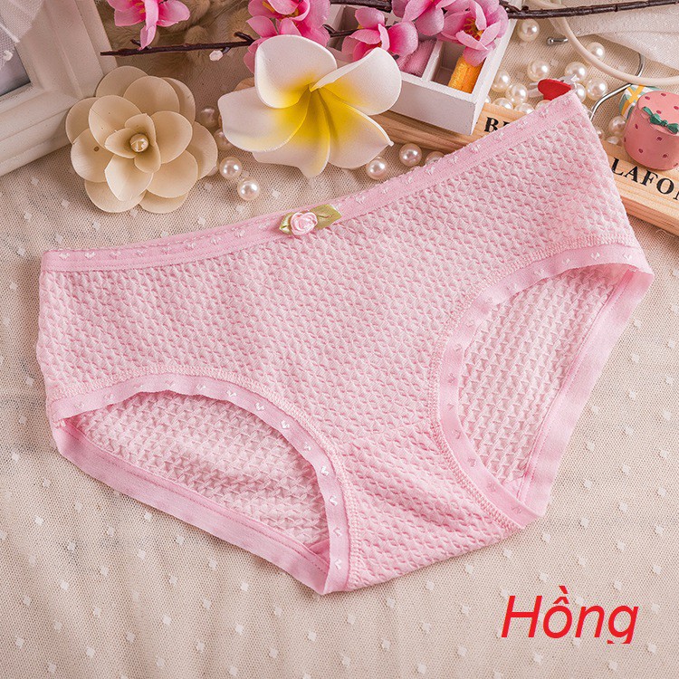 [Mã FAMAYFA2 giảm 10K đơn 50K] QUẦN LÓT COTTON CAO CẤP CO GIÃN QL8108A | WebRaoVat - webraovat.net.vn