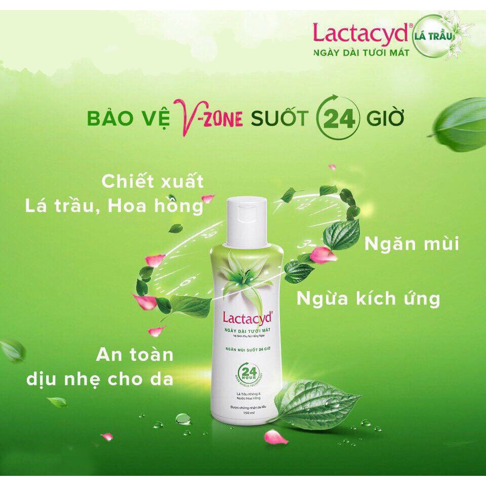 🌸🌸Dung Dịch Vệ Sinh Phụ Nữ Lactacyd Lá Trầu & Nước Hoa Hồng 250ml