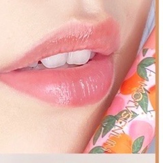 Son Dưỡng Vị Trái Cây MOLVSENLIN Dạng Thỏi