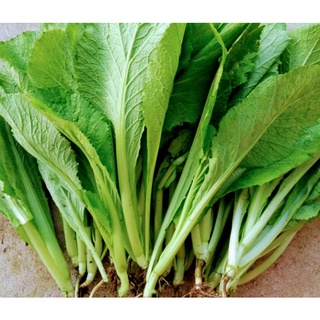 Cải bẹ xanh mỡ 20g/gói #cai#be#xanh#mo