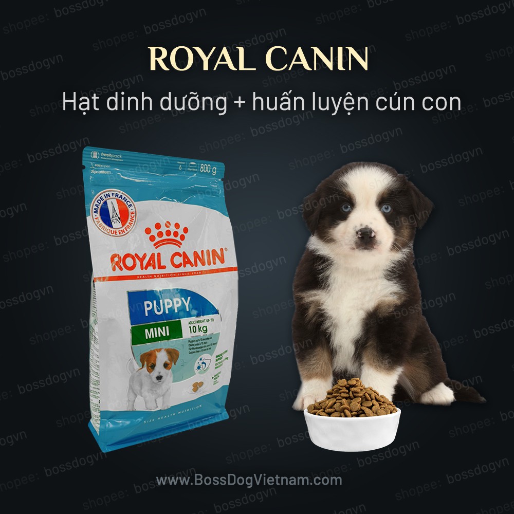 Thức ăn chó con Royal Canin Mini Puppy | BossDog