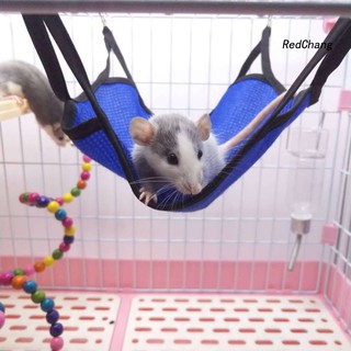 Võng Treo Cho Chuột Hamster