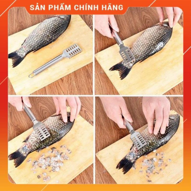 Cây đánh vảy cá chuyên dụng