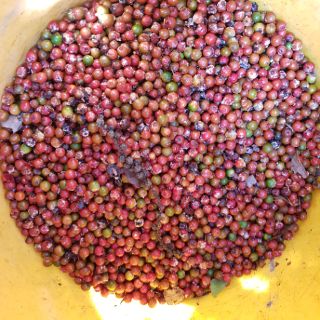 Hạt Tiêu Sọ DakLak - 1KG